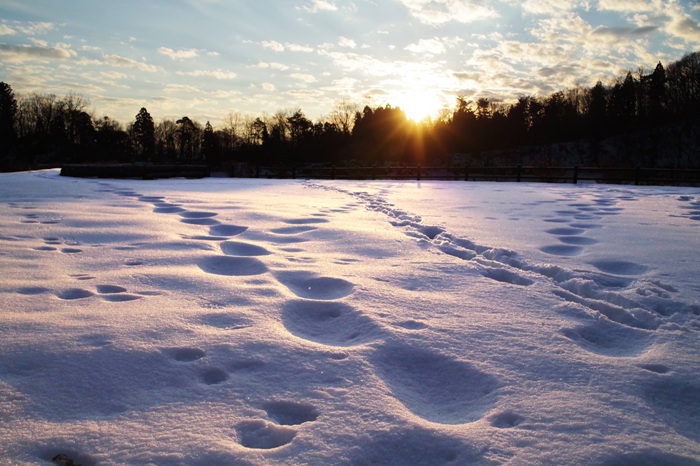 太陽先生の豆知識「冬の日照時間減少による体への影響」