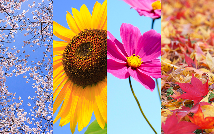 四季のイメージ画像